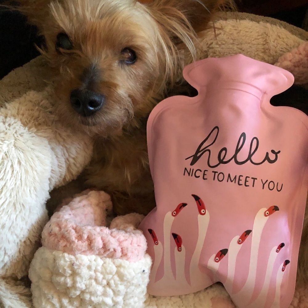 Mini Hot Water Bottle - Picture 1 of 6